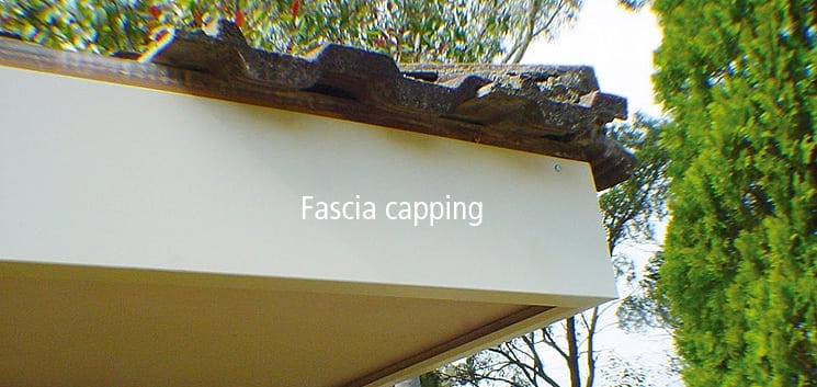 Fascia-only_745