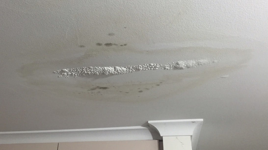 Ceiling mould from water leaks