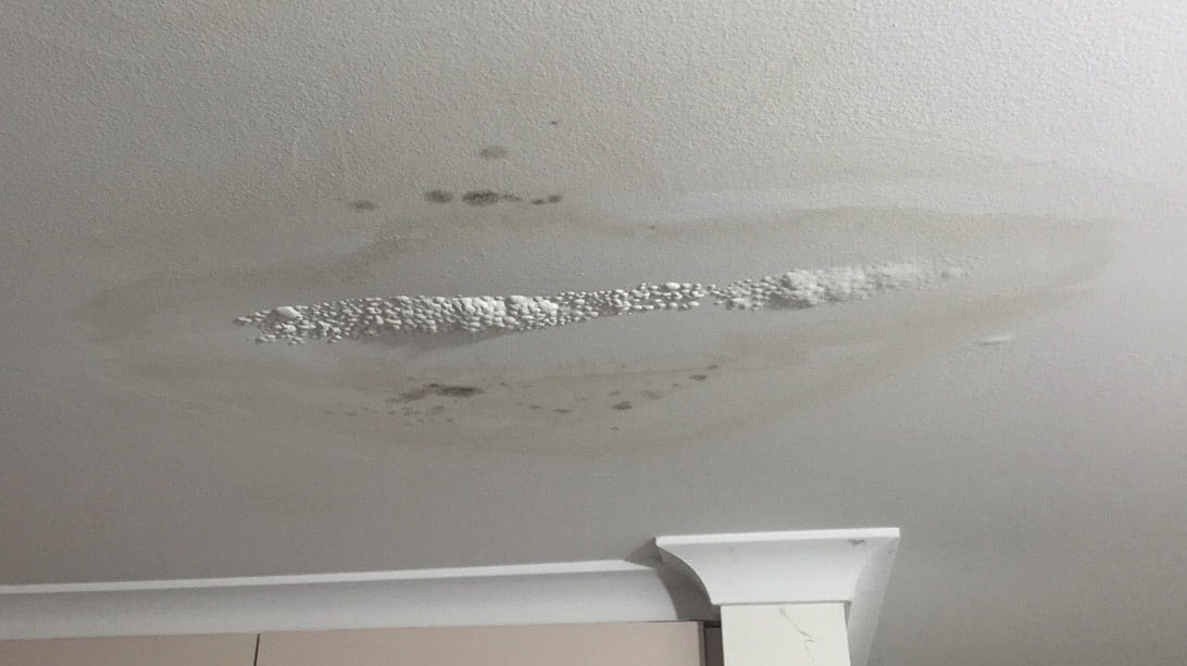 Ceiling Leak Flex House