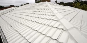 Tiled roof restoration