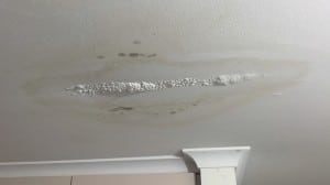 Ceiling mould from water leaks